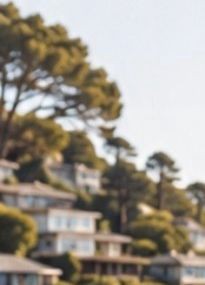 Hillside homes among the pines in Sausalito